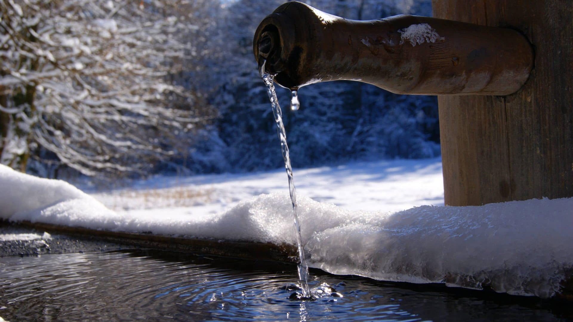 How to Keep Livestock Water Unfrozen Naturally Homesteadist